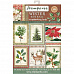 Набор бумажных карточек "Winter botanic" (Stamperia)
