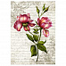 Тканевая карточка "Цветочный фейерверк. Полиантовая роза" (ScrapMania)
