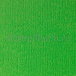Кардсток с текстурой "Ярко-зеленый", 30х30 см (ScrapBerry's)
