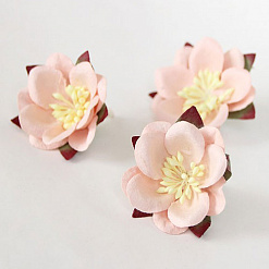 Цветок сакуры "Светло-коралловый" (Craft)