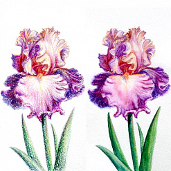 Набор акварельных карандашей Aquarelle, 18 цветов (Bruno Visconti)