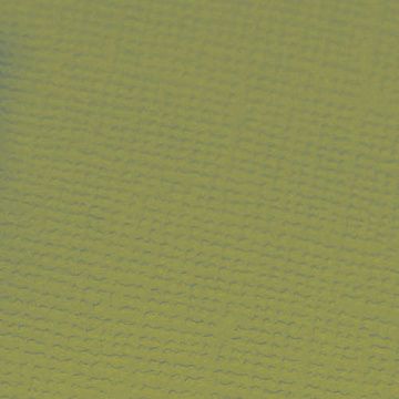 Кардсток 30х30 см с текстурой "Авокадо" (Craft Premier)