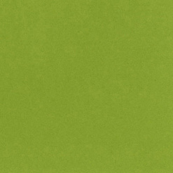 Кардсток Bazzill Basics 30,5х30,5 см однотонный гладкий, цвет пасхальная трава