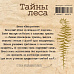 Резиновый штамп "Тайны леса. Папоротник" (EcoPaper)