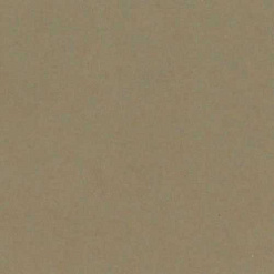 Кардсток Bazzill Basics 30,5х30,5 см однотонный гладкий, цвет серо-коричневый
