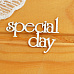 Набор украшений из чипборда "Special day" (Просто небо)