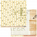 Набор бумаги 20х20 см "Атлас бабочек", 11 листов (EcoPaper)