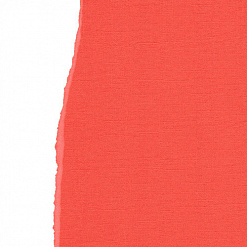 Кардсток с текстурой "Ярко-оранжевый", 30х30 см (ScrapBerry's)