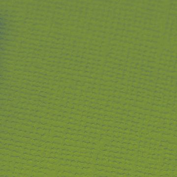 Кардсток 30х30 см с текстурой "Зеленый попугай" (Craft Premier)